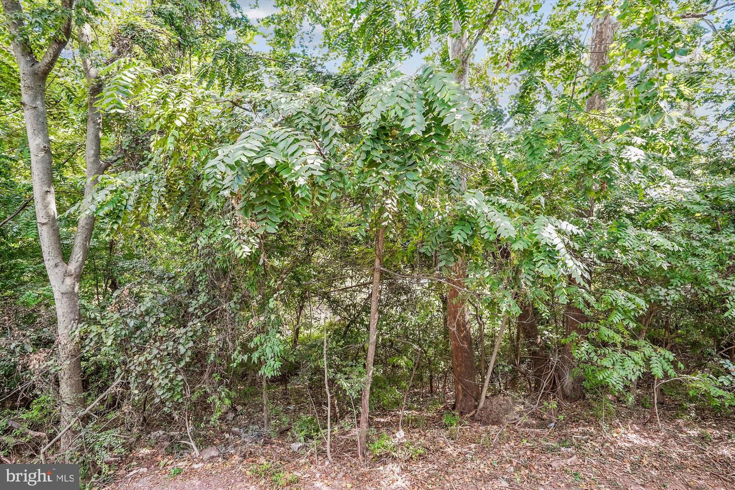 13713 AUTUMN VALE CT #30B, CHANTILLY, Virginia 20151, 3 Bedrooms Bedrooms, ,2 BathroomsBathrooms,Residential,For sale,13713 AUTUMN VALE CT #30B,VAFX2262838 MLS # VAFX2262838 13713 AUTUMN VALE CT #30B, CHANTILLY, Virginia 20151, 3 Bedrooms Bedrooms, ,2 BathroomsBathrooms,Residential,For sale,13713 AUTUMN VALE CT #30B,VAFX2262838 MLS # VAFX2262838