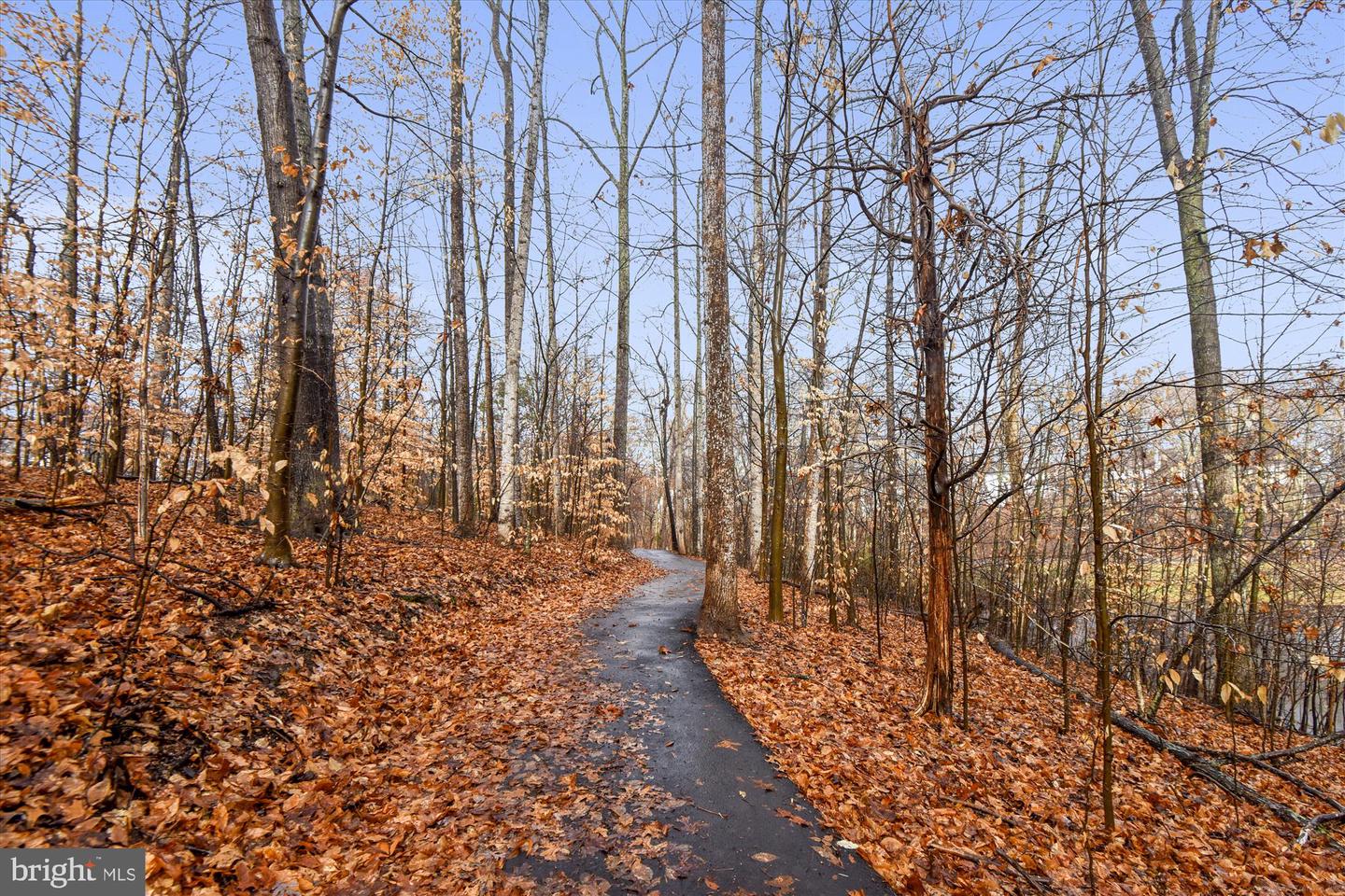 13713 AUTUMN VALE CT #30B, CHANTILLY, Virginia 20151, 3 Bedrooms Bedrooms, ,2 BathroomsBathrooms,Residential,For sale,13713 AUTUMN VALE CT #30B,VAFX2262838 MLS # VAFX2262838 13713 AUTUMN VALE CT #30B, CHANTILLY, Virginia 20151, 3 Bedrooms Bedrooms, ,2 BathroomsBathrooms,Residential,For sale,13713 AUTUMN VALE CT #30B,VAFX2262838 MLS # VAFX2262838