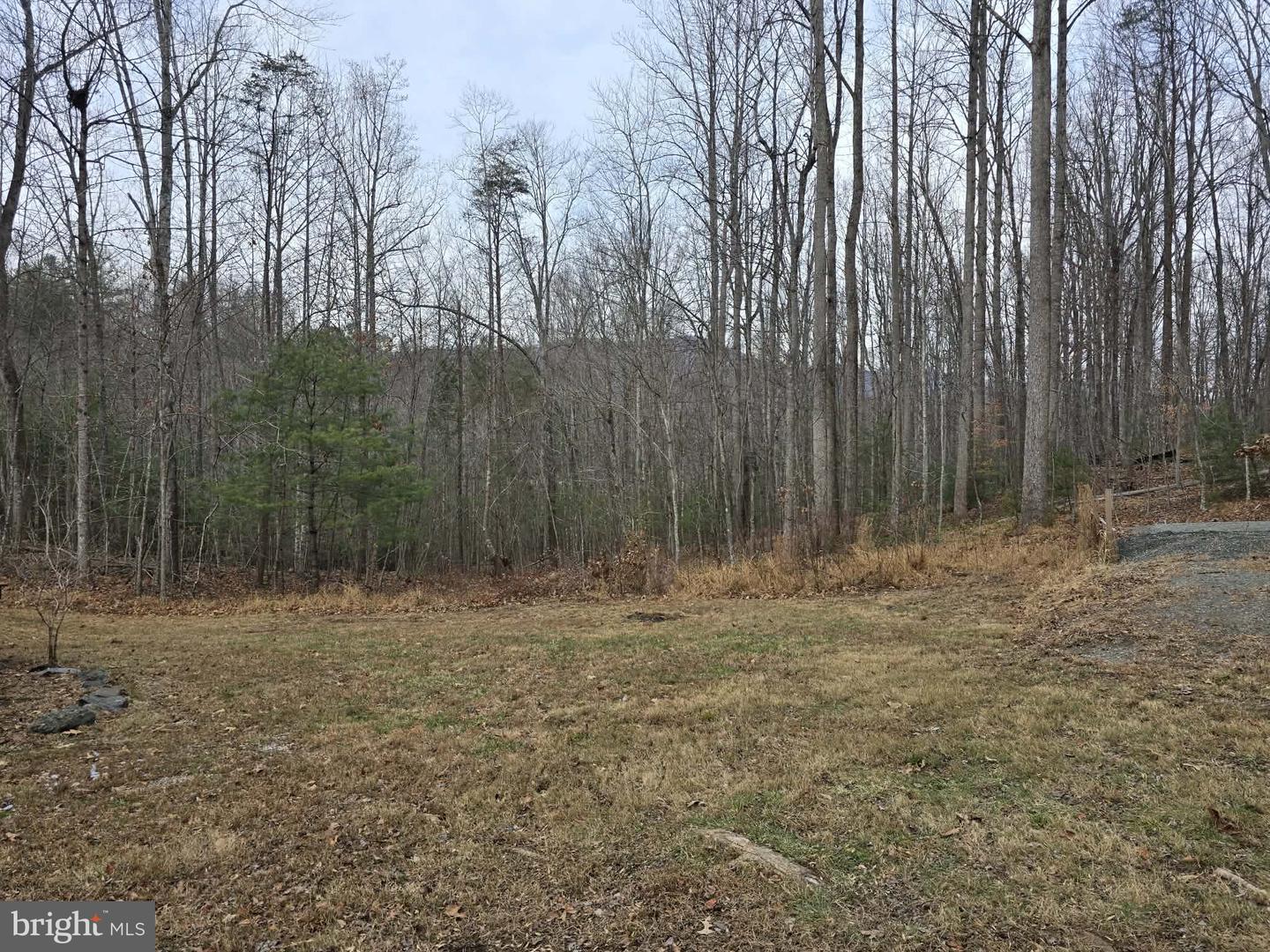 431 LAUREL, MADISON, Virginia 22727, 1 Bedroom Bedrooms, ,1 BathroomBathrooms,Residential,For sale,431 LAUREL,VAMA2002566 MLS # VAMA2002566 431 LAUREL, MADISON, Virginia 22727, 1 Bedroom Bedrooms, ,1 BathroomBathrooms,Residential,For sale,431 LAUREL,VAMA2002566 MLS # VAMA2002566