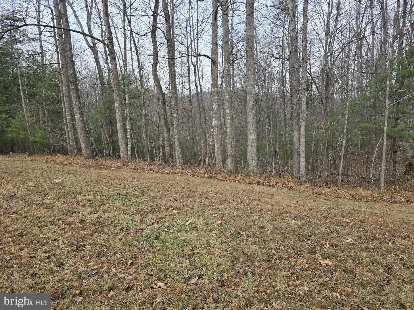 431 LAUREL, MADISON, Virginia 22727, 1 Bedroom Bedrooms, ,1 BathroomBathrooms,Residential,For sale,431 LAUREL,VAMA2002566 MLS # VAMA2002566 431 LAUREL, MADISON, Virginia 22727, 1 Bedroom Bedrooms, ,1 BathroomBathrooms,Residential,For sale,431 LAUREL,VAMA2002566 MLS # VAMA2002566