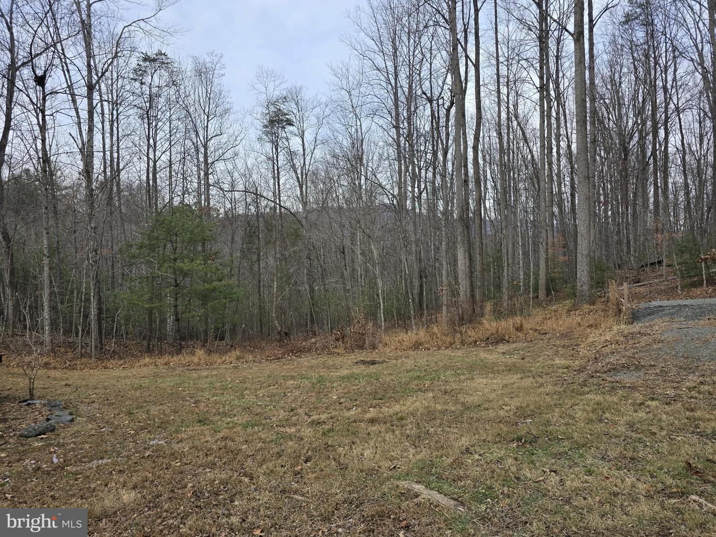 431 LAUREL, MADISON, Virginia 22727, 1 Bedroom Bedrooms, ,1 BathroomBathrooms,Residential,For sale,431 LAUREL,VAMA2002566 MLS # VAMA2002566 431 LAUREL, MADISON, Virginia 22727, 1 Bedroom Bedrooms, ,1 BathroomBathrooms,Residential,For sale,431 LAUREL,VAMA2002566 MLS # VAMA2002566