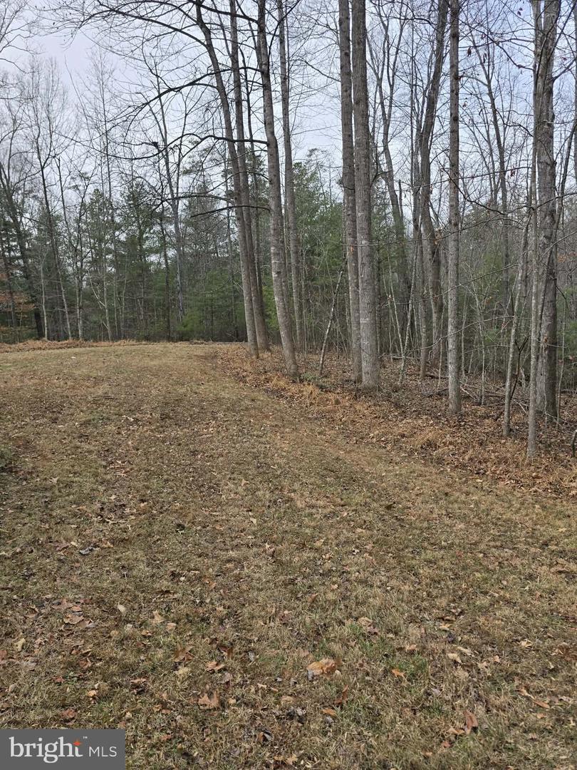 431 LAUREL, MADISON, Virginia 22727, 1 Bedroom Bedrooms, ,1 BathroomBathrooms,Residential,For sale,431 LAUREL,VAMA2002566 MLS # VAMA2002566 431 LAUREL, MADISON, Virginia 22727, 1 Bedroom Bedrooms, ,1 BathroomBathrooms,Residential,For sale,431 LAUREL,VAMA2002566 MLS # VAMA2002566