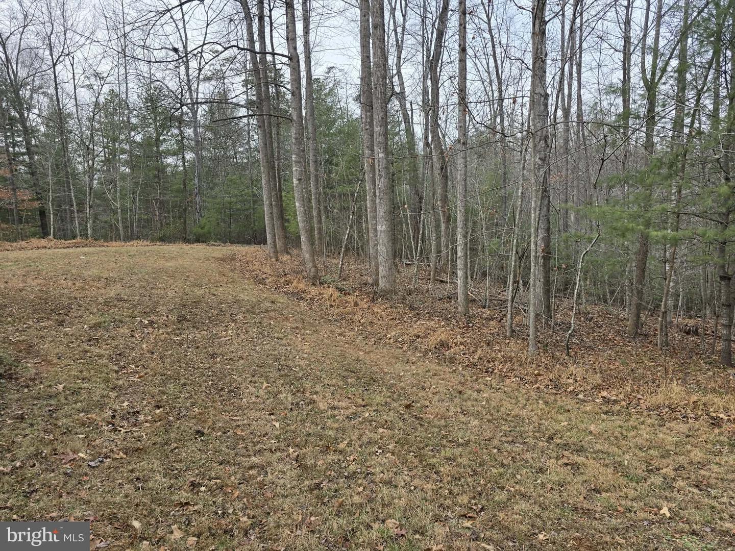 431 LAUREL, MADISON, Virginia 22727, 1 Bedroom Bedrooms, ,1 BathroomBathrooms,Residential,For sale,431 LAUREL,VAMA2002566 MLS # VAMA2002566 431 LAUREL, MADISON, Virginia 22727, 1 Bedroom Bedrooms, ,1 BathroomBathrooms,Residential,For sale,431 LAUREL,VAMA2002566 MLS # VAMA2002566