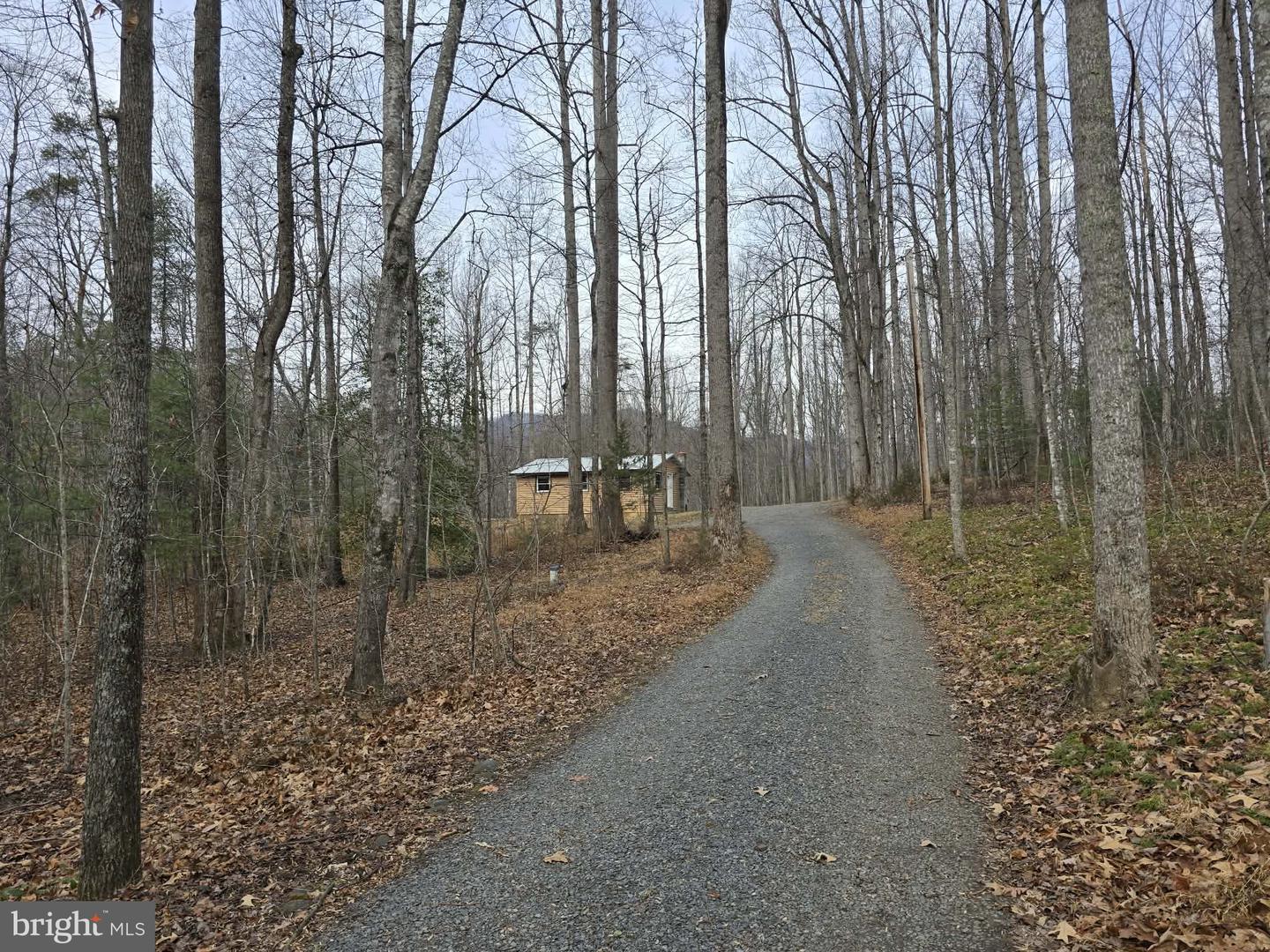 431 LAUREL, MADISON, Virginia 22727, 1 Bedroom Bedrooms, ,1 BathroomBathrooms,Residential,For sale,431 LAUREL,VAMA2002566 MLS # VAMA2002566 431 LAUREL, MADISON, Virginia 22727, 1 Bedroom Bedrooms, ,1 BathroomBathrooms,Residential,For sale,431 LAUREL,VAMA2002566 MLS # VAMA2002566