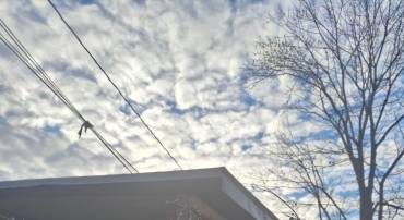 13721 RICHMOND WHY #TRLR 92, WOODBRIDGE, Virginia 22191, 4 Bedrooms Bedrooms, ,2 BathroomsBathrooms,Residential,For sale,13721 RICHMOND WHY #TRLR 92,VAPW2109062 MLS # VAPW2109062