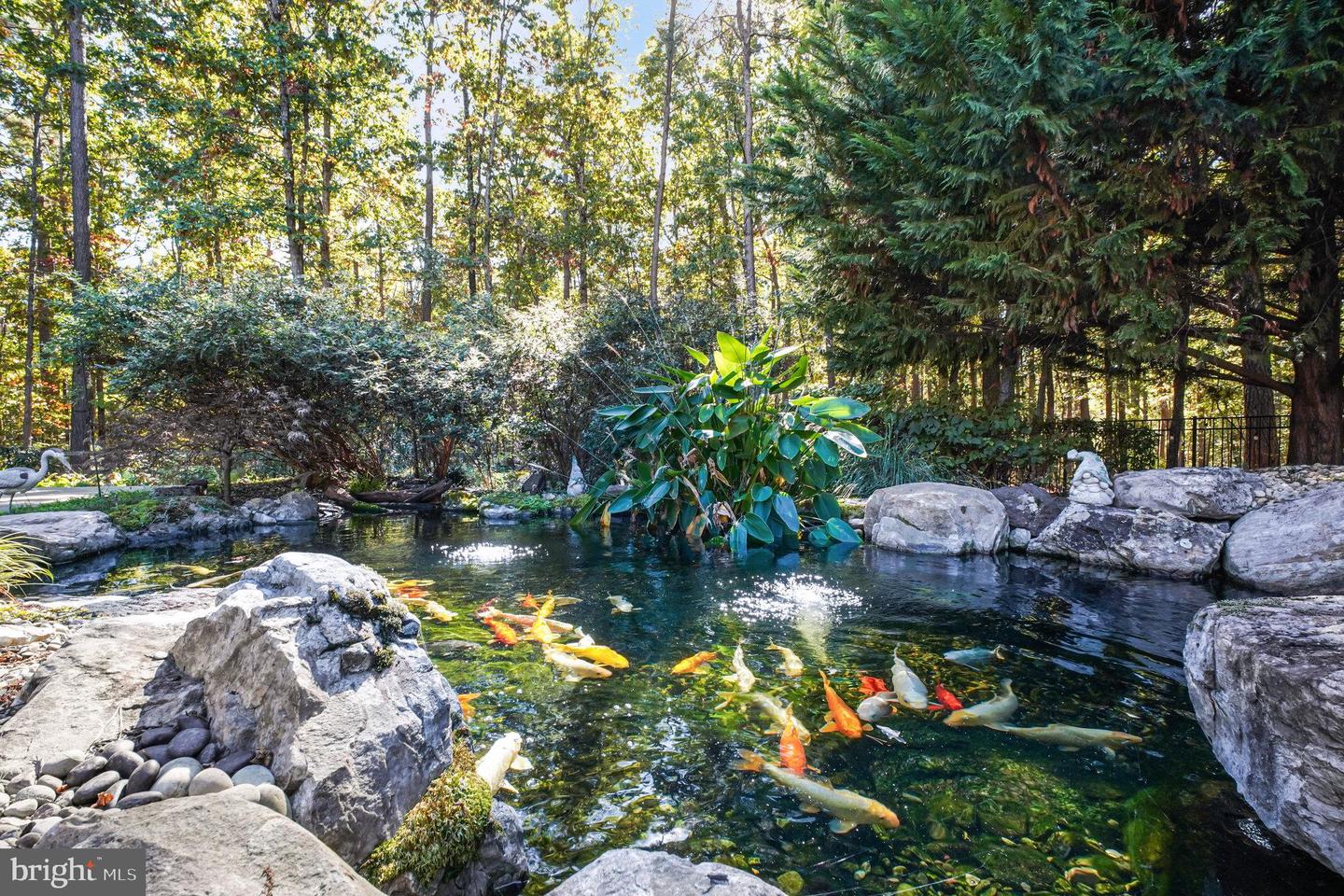 12006 HONOR BRIDGE FARM DR, SPOTSYLVANIA, Virginia 22551, 4 Bedrooms Bedrooms, ,6 BathroomsBathrooms,Residential,For sale,12006 HONOR BRIDGE FARM DR,VASP2038102 MLS # VASP2038102 12006 HONOR BRIDGE FARM DR, SPOTSYLVANIA, Virginia 22551, 4 Bedrooms Bedrooms, ,6 BathroomsBathrooms,Residential,For sale,12006 HONOR BRIDGE FARM DR,VASP2038102 MLS # VASP2038102