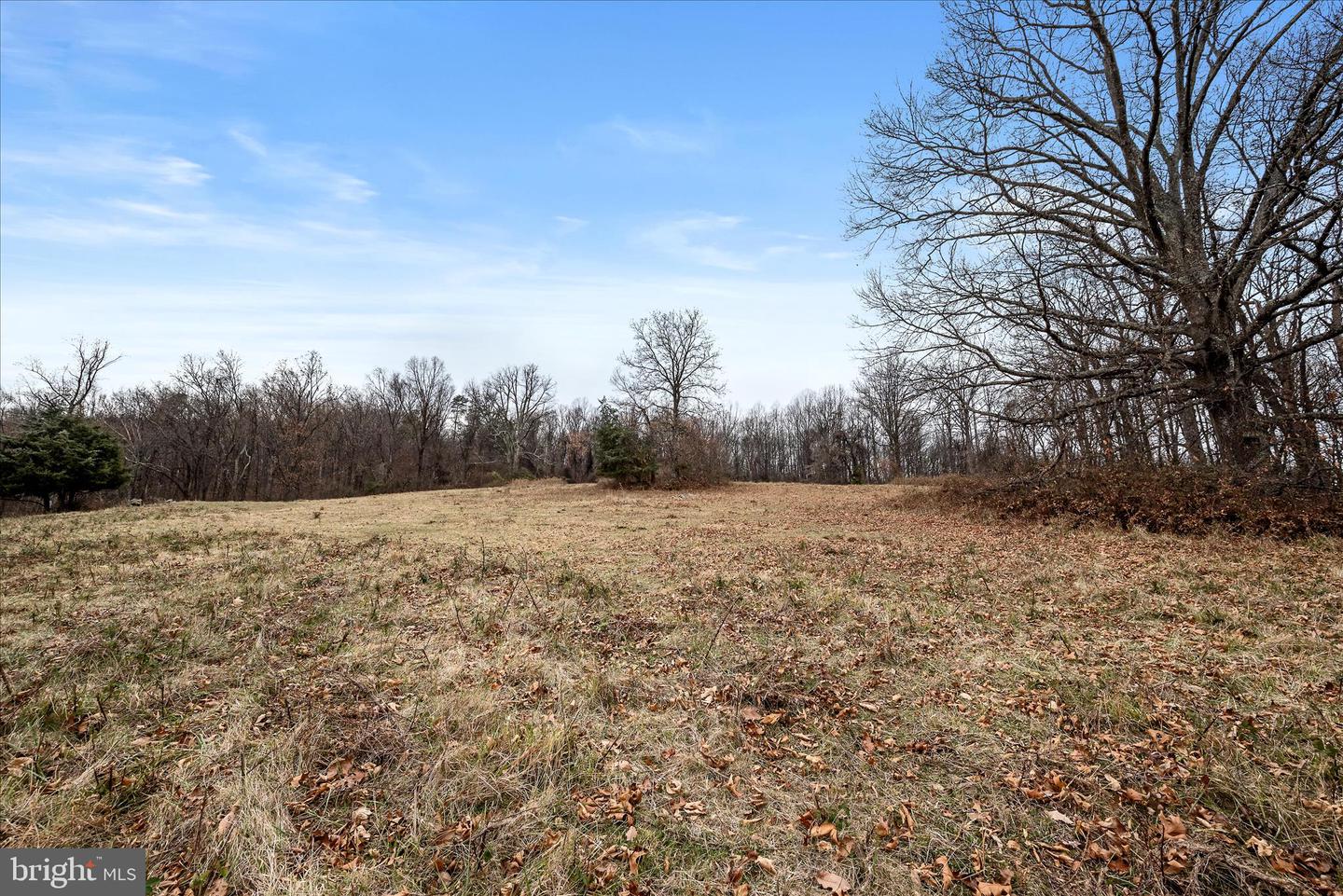 MERRY OAKS RD, THE PLAINS, Virginia 20198, ,Farm,For sale,MERRY OAKS RD,VAFQ2019904 MLS # VAFQ2019904 MERRY OAKS RD, THE PLAINS, Virginia 20198, ,Farm,For sale,MERRY OAKS RD,VAFQ2019904 MLS # VAFQ2019904