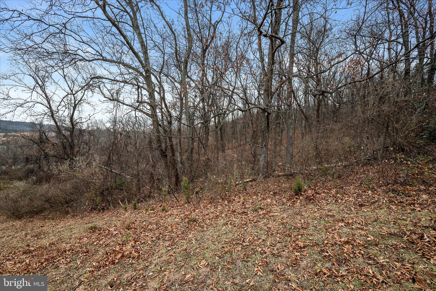 MERRY OAKS RD, THE PLAINS, Virginia 20198, ,Farm,For sale,MERRY OAKS RD,VAFQ2019904 MLS # VAFQ2019904 MERRY OAKS RD, THE PLAINS, Virginia 20198, ,Farm,For sale,MERRY OAKS RD,VAFQ2019904 MLS # VAFQ2019904