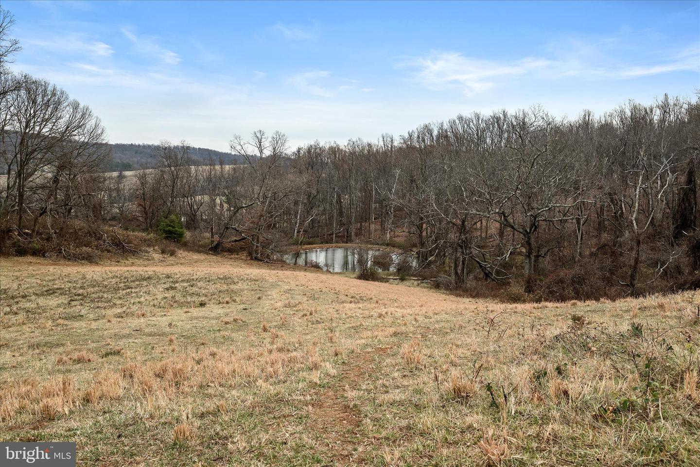 MERRY OAKS RD, THE PLAINS, Virginia 20198, ,Farm,For sale,MERRY OAKS RD,VAFQ2019904 MLS # VAFQ2019904 MERRY OAKS RD, THE PLAINS, Virginia 20198, ,Farm,For sale,MERRY OAKS RD,VAFQ2019904 MLS # VAFQ2019904