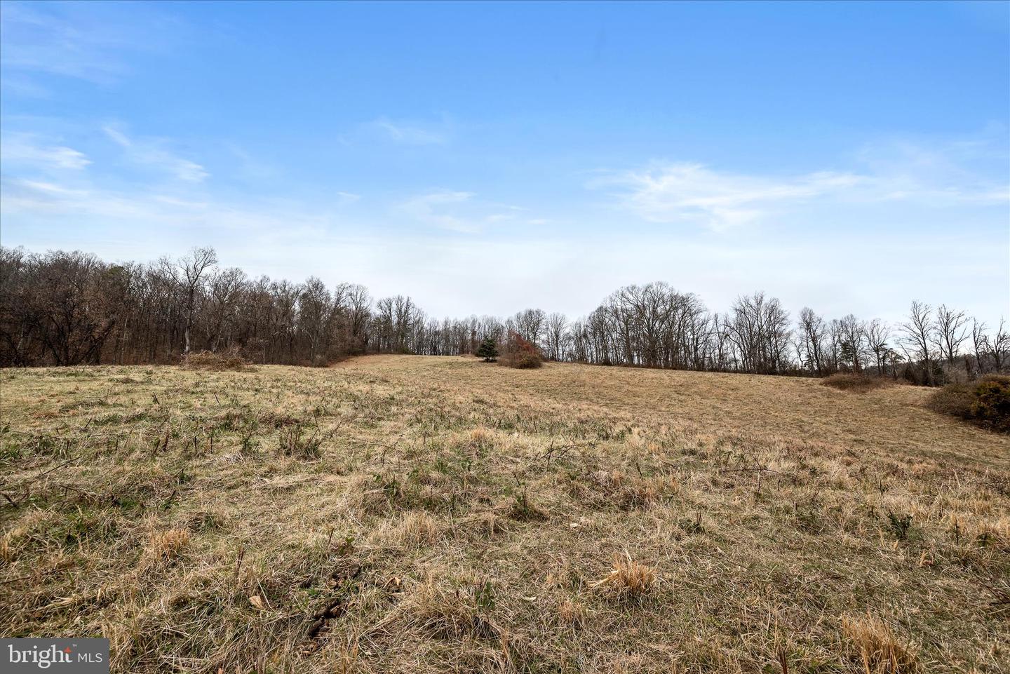 MERRY OAKS RD, THE PLAINS, Virginia 20198, ,Farm,For sale,MERRY OAKS RD,VAFQ2019904 MLS # VAFQ2019904 MERRY OAKS RD, THE PLAINS, Virginia 20198, ,Farm,For sale,MERRY OAKS RD,VAFQ2019904 MLS # VAFQ2019904