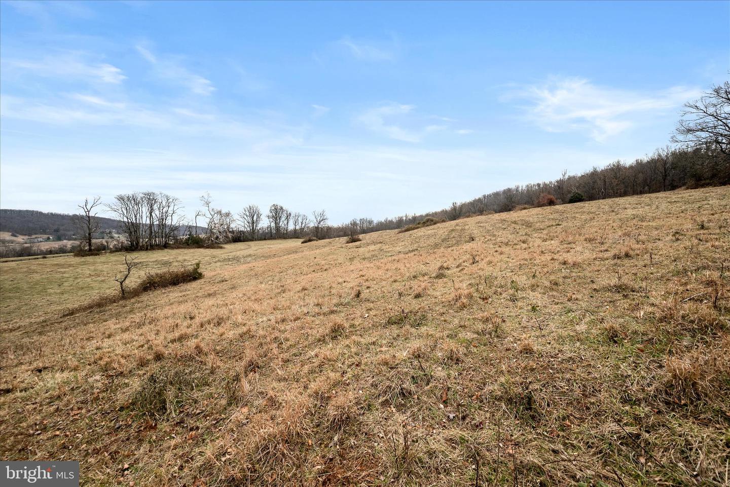 MERRY OAKS RD, THE PLAINS, Virginia 20198, ,Farm,For sale,MERRY OAKS RD,VAFQ2019904 MLS # VAFQ2019904 MERRY OAKS RD, THE PLAINS, Virginia 20198, ,Farm,For sale,MERRY OAKS RD,VAFQ2019904 MLS # VAFQ2019904