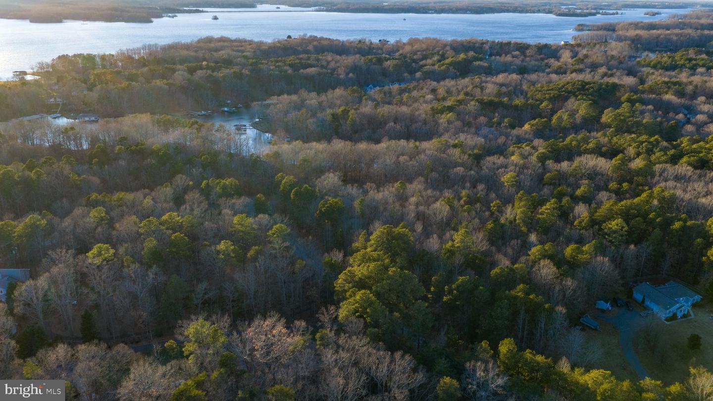 2318 WATERSIDE DR, BUMPASS, Virginia 23024, ,Land,For sale,2318 WATERSIDE DR,VASP2038118 MLS # VASP2038118 2318 WATERSIDE DR, BUMPASS, Virginia 23024, ,Land,For sale,2318 WATERSIDE DR,VASP2038118 MLS # VASP2038118