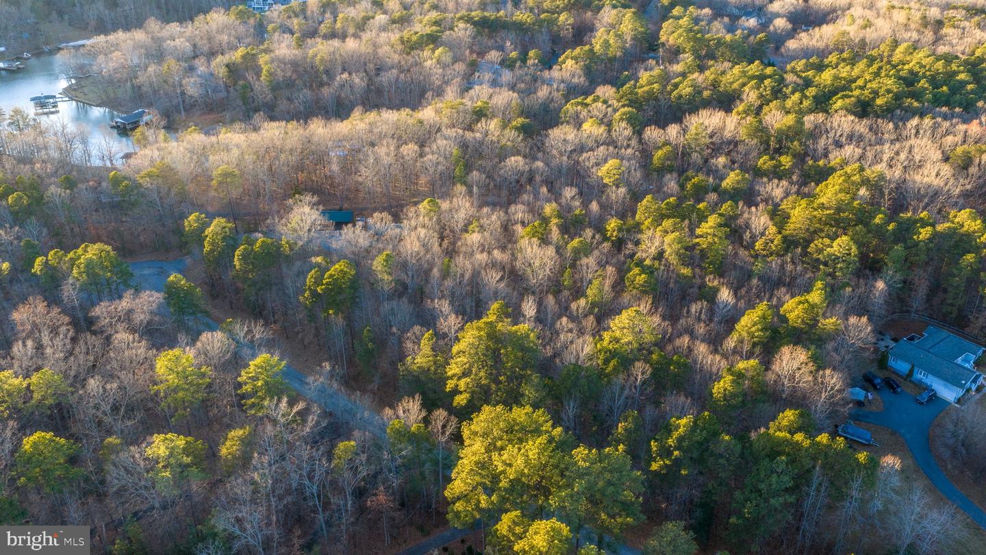 2318 WATERSIDE DR, BUMPASS, Virginia 23024, ,Land,For sale,2318 WATERSIDE DR,VASP2038118 MLS # VASP2038118 2318 WATERSIDE DR, BUMPASS, Virginia 23024, ,Land,For sale,2318 WATERSIDE DR,VASP2038118 MLS # VASP2038118