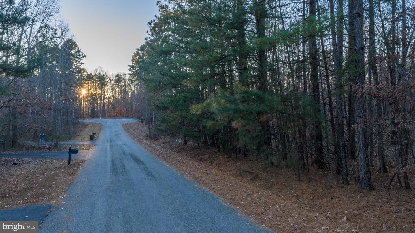 2318 WATERSIDE DR, BUMPASS, Virginia 23024, ,Land,For sale,2318 WATERSIDE DR,VASP2038118 MLS # VASP2038118 2318 WATERSIDE DR, BUMPASS, Virginia 23024, ,Land,For sale,2318 WATERSIDE DR,VASP2038118 MLS # VASP2038118