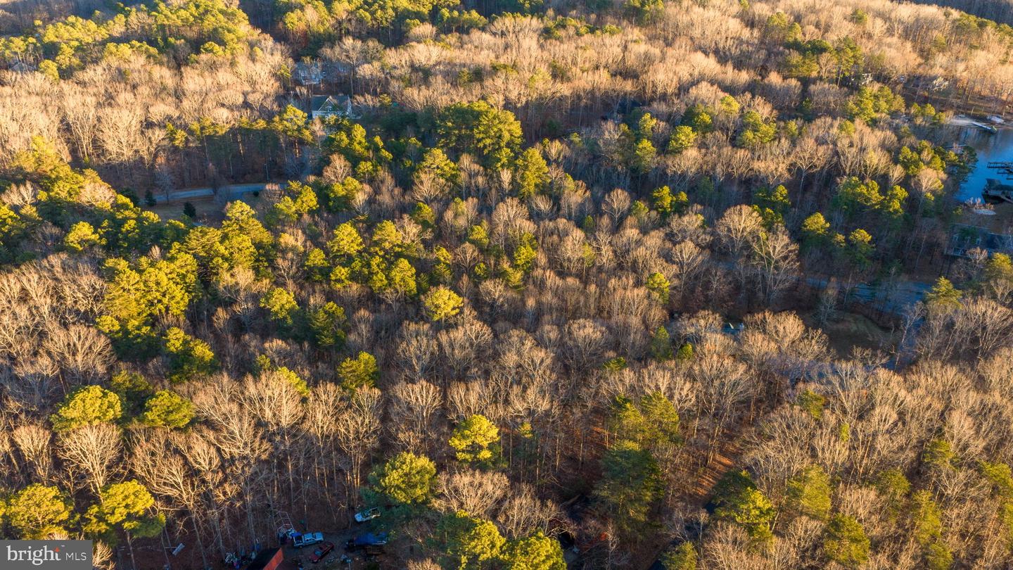 2318 WATERSIDE DR, BUMPASS, Virginia 23024, ,Land,For sale,2318 WATERSIDE DR,VASP2038118 MLS # VASP2038118 2318 WATERSIDE DR, BUMPASS, Virginia 23024, ,Land,For sale,2318 WATERSIDE DR,VASP2038118 MLS # VASP2038118