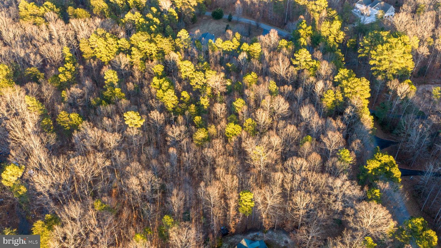 2318 WATERSIDE DR, BUMPASS, Virginia 23024, ,Land,For sale,2318 WATERSIDE DR,VASP2038118 MLS # VASP2038118 2318 WATERSIDE DR, BUMPASS, Virginia 23024, ,Land,For sale,2318 WATERSIDE DR,VASP2038118 MLS # VASP2038118