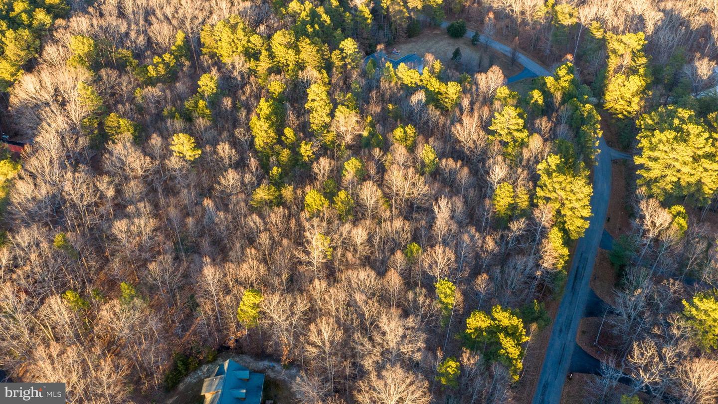 2318 WATERSIDE DR, BUMPASS, Virginia 23024, ,Land,For sale,2318 WATERSIDE DR,VASP2038118 MLS # VASP2038118 2318 WATERSIDE DR, BUMPASS, Virginia 23024, ,Land,For sale,2318 WATERSIDE DR,VASP2038118 MLS # VASP2038118