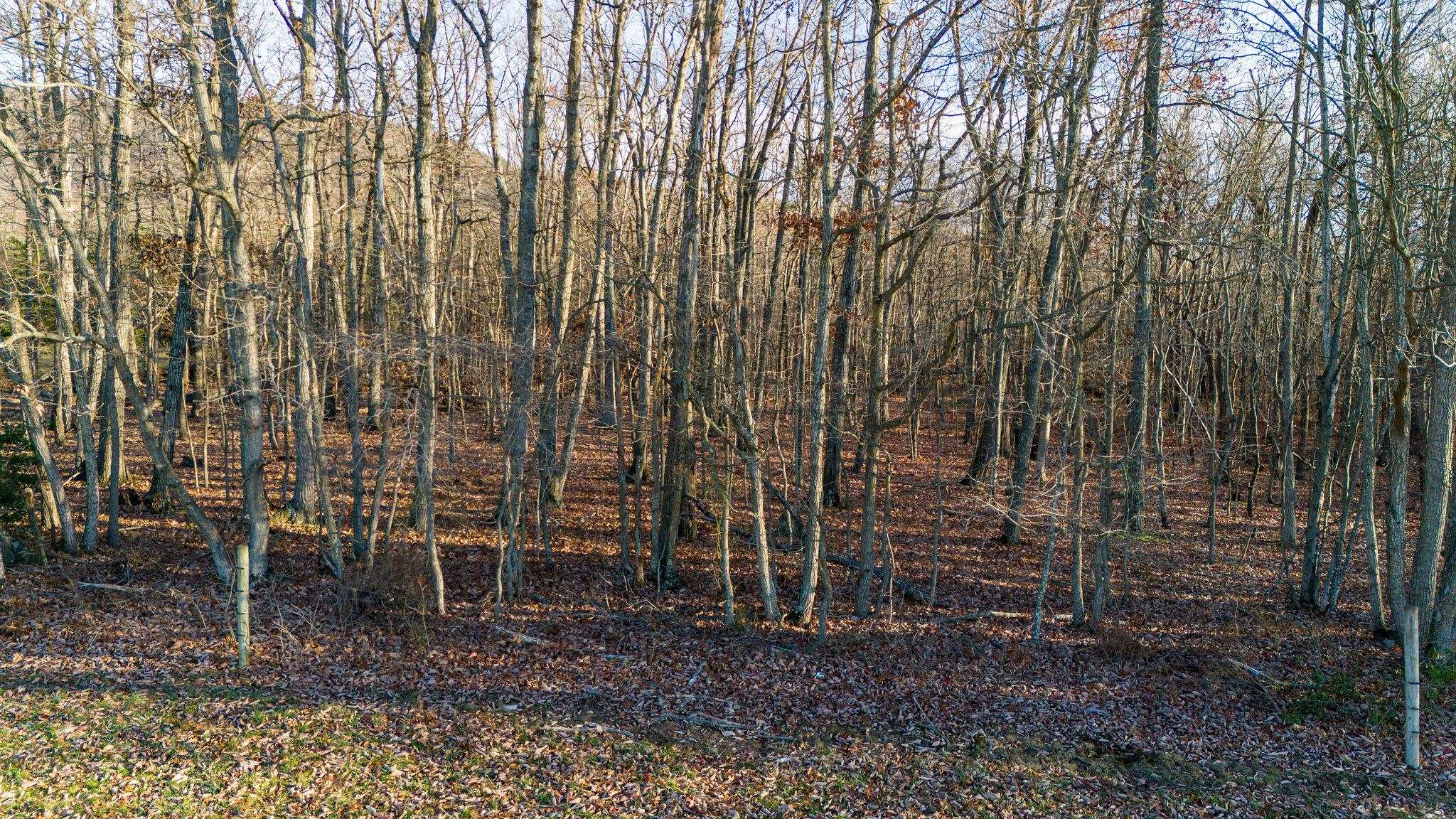 TBD ROCK MOUNTAIN LN, GROTTOES, Virginia 24441, ,Land,TBD ROCK MOUNTAIN LN,659520 MLS # 659520 TBD ROCK MOUNTAIN LN, GROTTOES, Virginia 24441, ,Land,TBD ROCK MOUNTAIN LN,659520 MLS # 659520