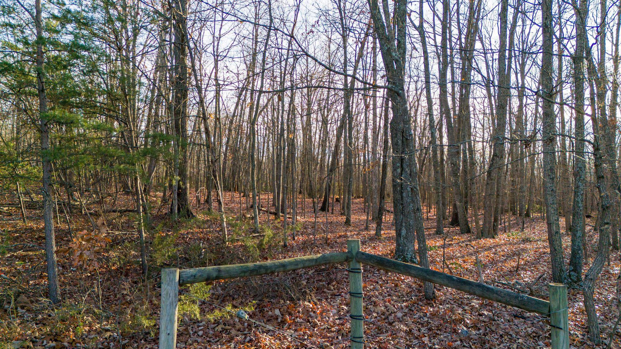 TBD ROCK MOUNTAIN LN, GROTTOES, Virginia 24441, ,Land,TBD ROCK MOUNTAIN LN,659520 MLS # 659520 TBD ROCK MOUNTAIN LN, GROTTOES, Virginia 24441, ,Land,TBD ROCK MOUNTAIN LN,659520 MLS # 659520