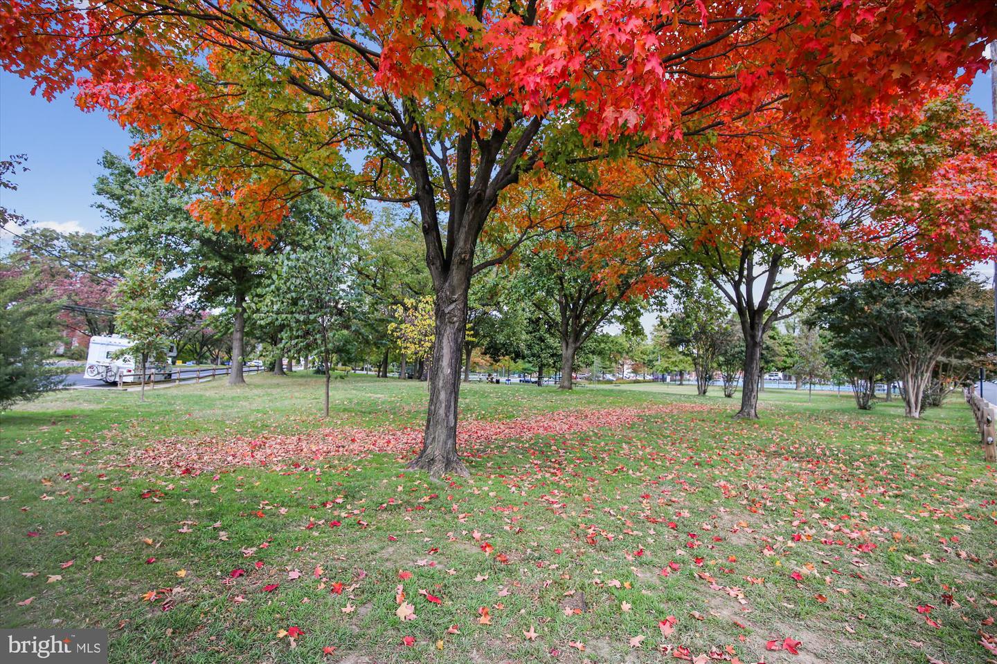 2600 16TH ST S #696, ARLINGTON, Virginia 22204, 2 Bedrooms Bedrooms, ,1 BathroomBathrooms,Residential,For sale,2600 16TH ST S #696,VAAR2066766 MLS # VAAR2066766 2600 16TH ST S #696, ARLINGTON, Virginia 22204, 2 Bedrooms Bedrooms, ,1 BathroomBathrooms,Residential,For sale,2600 16TH ST S #696,VAAR2066766 MLS # VAAR2066766