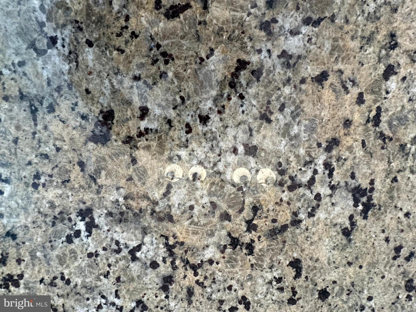 LOT 31 PINTO TRL, WINCHESTER, Virginia 22602, 3 Bedrooms Bedrooms, ,3 BathroomsBathrooms,Residential,For sale,LOT 31 PINTO TRL,VAFV2038456 MLS # VAFV2038456 LOT 31 PINTO TRL, WINCHESTER, Virginia 22602, 3 Bedrooms Bedrooms, ,3 BathroomsBathrooms,Residential,For sale,LOT 31 PINTO TRL,VAFV2038456 MLS # VAFV2038456