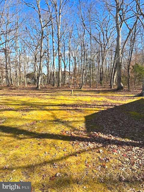 5527 SMITH STATION RD, FREDERICKSBURG, Virginia 22407, 3 Bedrooms Bedrooms, 7 Rooms Rooms,2 BathroomsBathrooms,Residential,For sale,5527 SMITH STATION RD,VASP2037756 MLS # VASP2037756 5527 SMITH STATION RD, FREDERICKSBURG, Virginia 22407, 3 Bedrooms Bedrooms, 7 Rooms Rooms,2 BathroomsBathrooms,Residential,For sale,5527 SMITH STATION RD,VASP2037756 MLS # VASP2037756