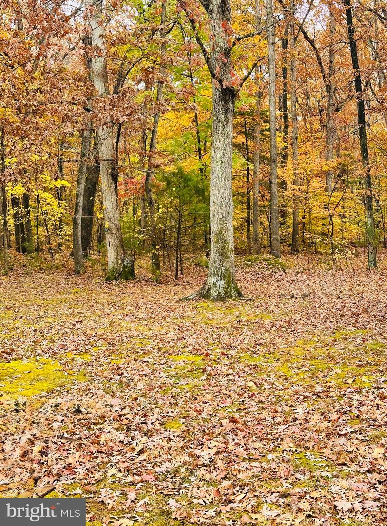 5527 SMITH STATION RD, FREDERICKSBURG, Virginia 22407, 3 Bedrooms Bedrooms, 7 Rooms Rooms,2 BathroomsBathrooms,Residential,For sale,5527 SMITH STATION RD,VASP2037756 MLS # VASP2037756 5527 SMITH STATION RD, FREDERICKSBURG, Virginia 22407, 3 Bedrooms Bedrooms, 7 Rooms Rooms,2 BathroomsBathrooms,Residential,For sale,5527 SMITH STATION RD,VASP2037756 MLS # VASP2037756