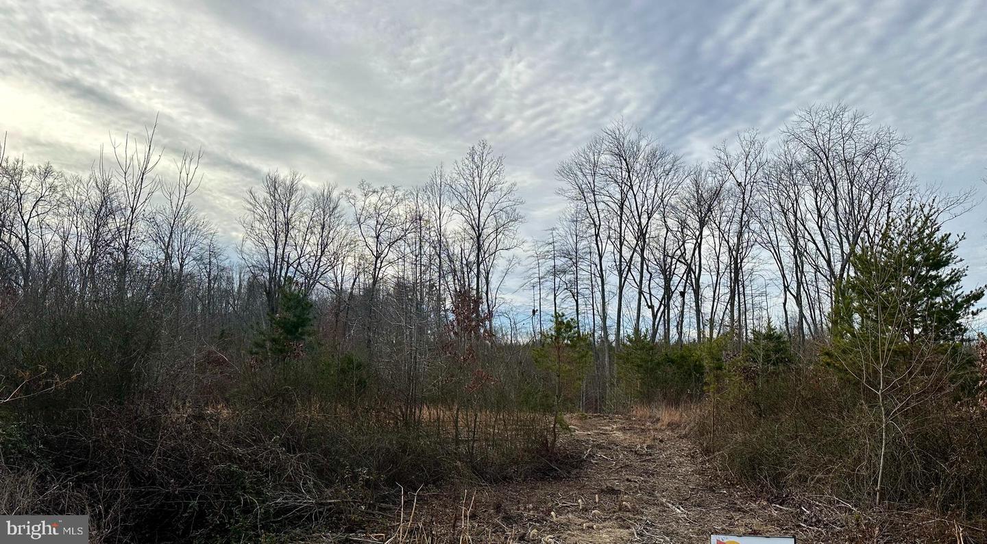 LOT 1 BELSCHES RD, BUMPASS, Virginia 23024, ,Land,For sale,LOT 1 BELSCHES RD,VALA2009020 MLS # VALA2009020