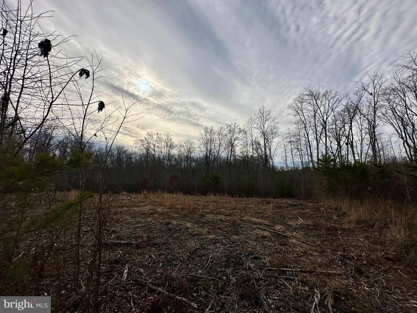 LOT 1 BELSCHES RD, BUMPASS, Virginia 23024, ,Land,For sale,LOT 1 BELSCHES RD,VALA2009020 MLS # VALA2009020 LOT 1 BELSCHES RD, BUMPASS, Virginia 23024, ,Land,For sale,LOT 1 BELSCHES RD,VALA2009020 MLS # VALA2009020