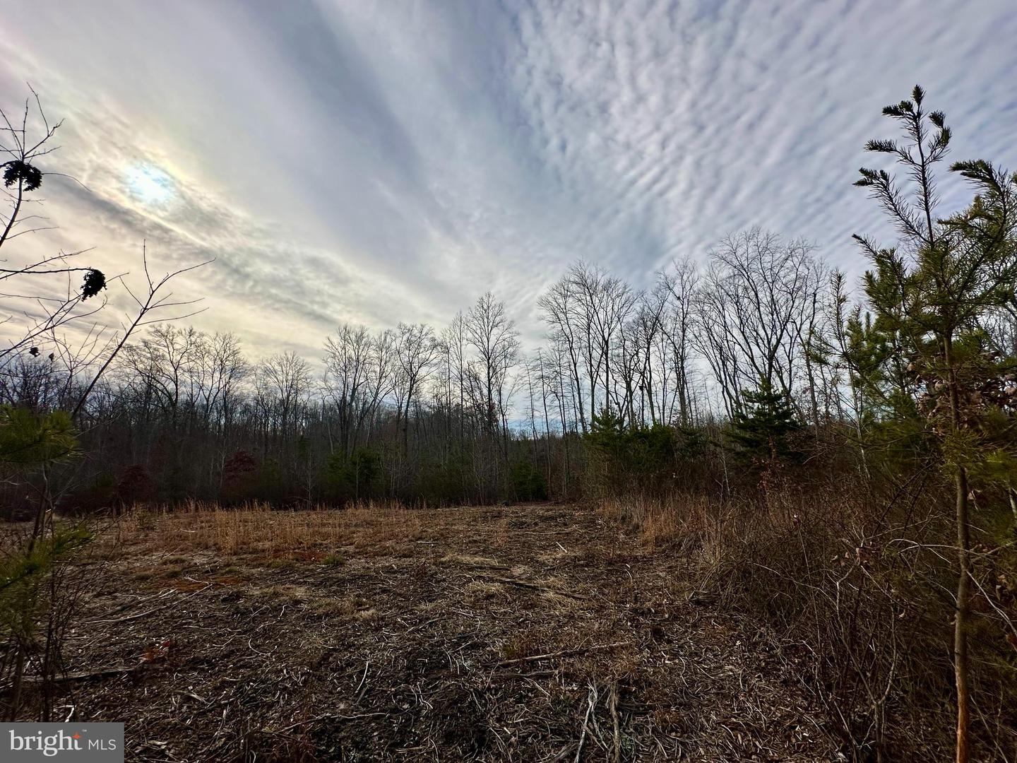 LOT 1 BELSCHES RD, BUMPASS, Virginia 23024, ,Land,For sale,LOT 1 BELSCHES RD,VALA2009020 MLS # VALA2009020 LOT 1 BELSCHES RD, BUMPASS, Virginia 23024, ,Land,For sale,LOT 1 BELSCHES RD,VALA2009020 MLS # VALA2009020