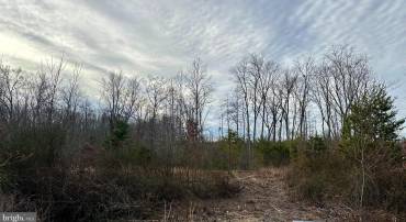 LOT 1 BELSCHES RD, BUMPASS, Virginia 23024, ,Land,For sale,LOT 1 BELSCHES RD,VALA2009020 MLS # VALA2009020
