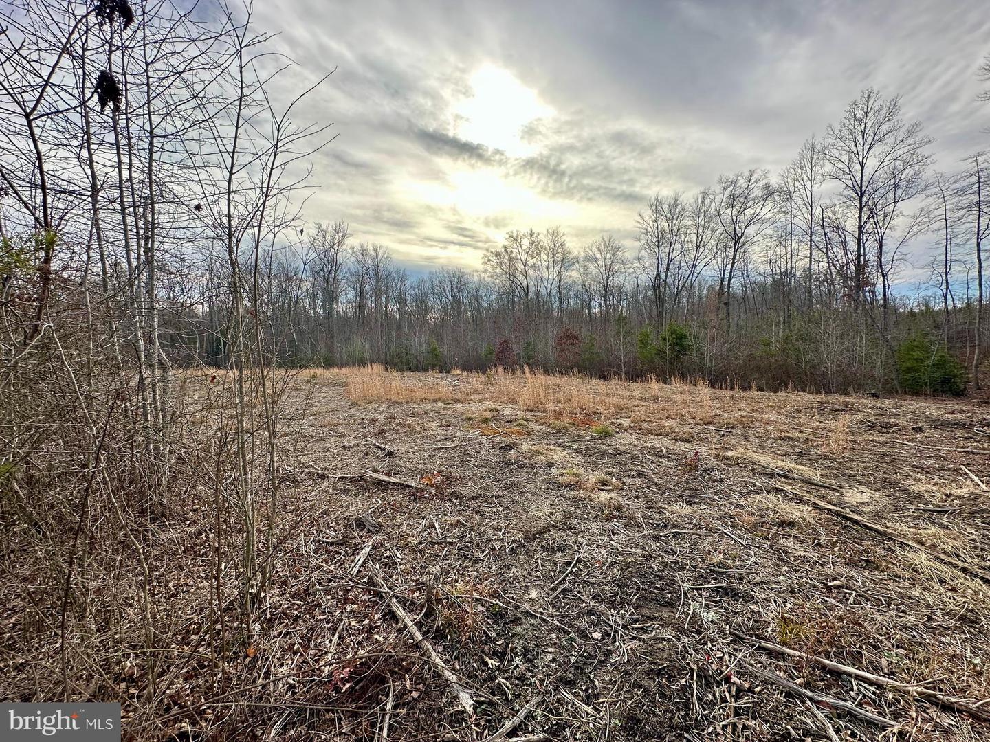 LOT 2 BELSCHES RD, BUMPASS, Virginia 23024, ,Land,For sale,LOT 2 BELSCHES RD,VALA2009022 MLS # VALA2009022 LOT 2 BELSCHES RD, BUMPASS, Virginia 23024, ,Land,For sale,LOT 2 BELSCHES RD,VALA2009022 MLS # VALA2009022