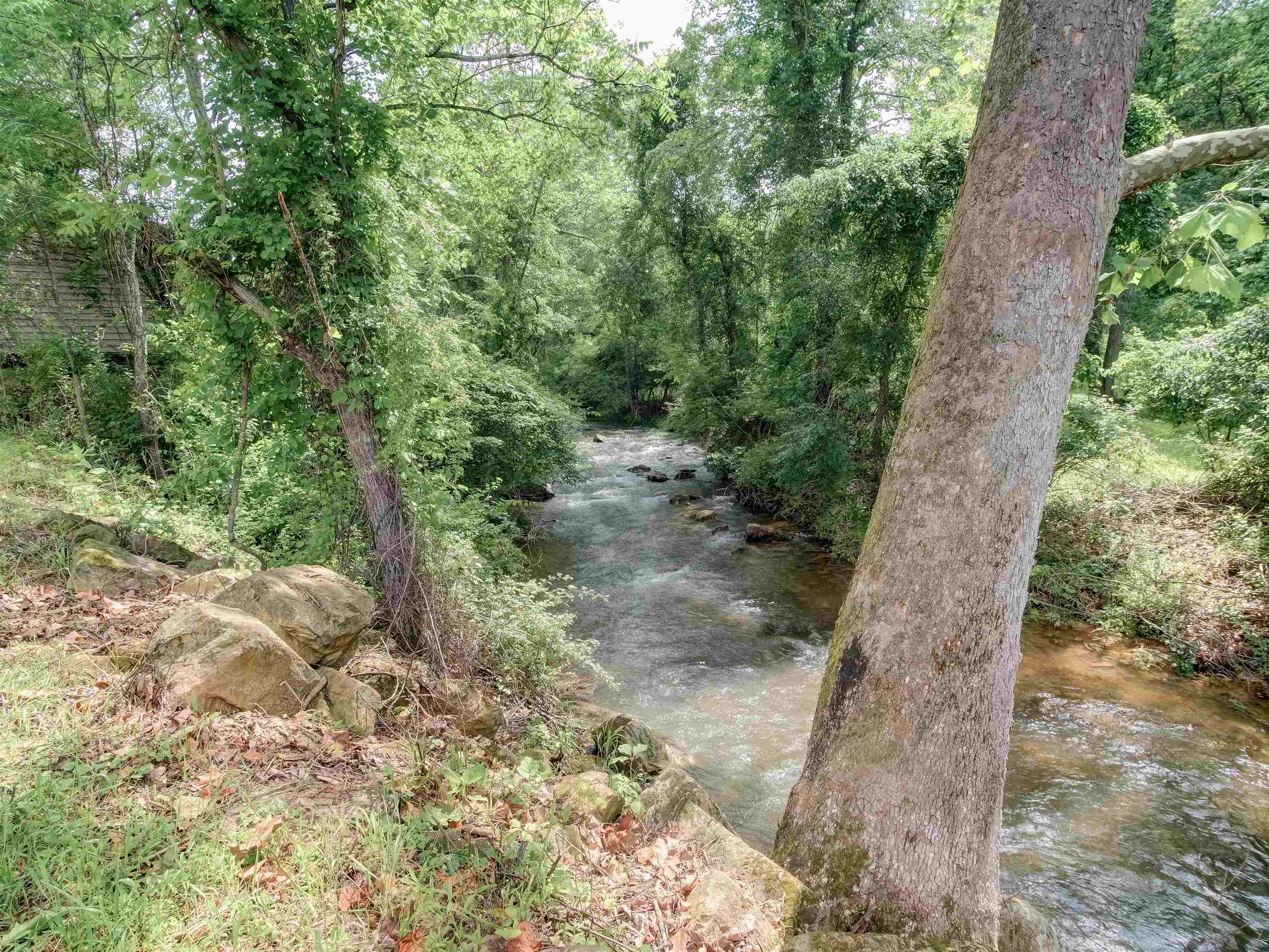 7304 DRY RUN RD, BURNSVILLE, Virginia 24487, 3 Bedrooms Bedrooms, ,2 BathroomsBathrooms,Residential,Journey's End,7304 DRY RUN RD,666061 MLS # 666061 7304 DRY RUN RD, BURNSVILLE, Virginia 24487, 3 Bedrooms Bedrooms, ,2 BathroomsBathrooms,Residential,Journey's End,7304 DRY RUN RD,666061 MLS # 666061