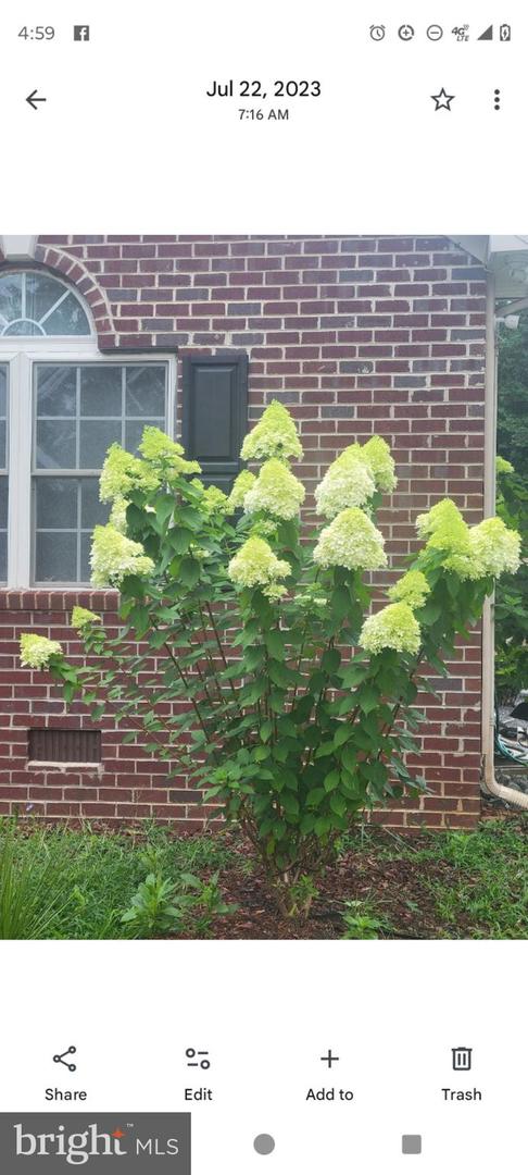 10358 TOWER RD, UNIONVILLE, Virginia 22567, 3 Bedrooms Bedrooms, ,2 BathroomsBathrooms,Residential,For sale,10358 TOWER RD,VAOR2012960 MLS # VAOR2012960