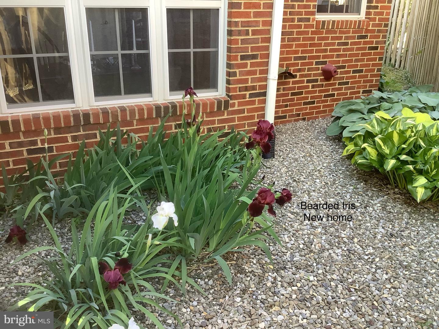 238 CARRIAGE CHASE CIR, WARRENTON, Virginia 20186, 3 Bedrooms Bedrooms, ,2 BathroomsBathrooms,Residential,For sale,238 CARRIAGE CHASE CIR,VAFQ2019650 MLS # VAFQ2019650