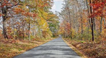 LOT 3 COLES ROLLING RD, SCOTTSVILLE, Virginia 24590, ,Land,For sale,LOT 3 COLES ROLLING RD,671783 MLS # 671783