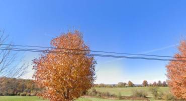 16705 CLARKES GAP RD, PAEONIAN SPRINGS, Virginia 20129, ,Land,For sale,16705 CLARKES GAP RD,VALO2112328 MLS # VALO2112328