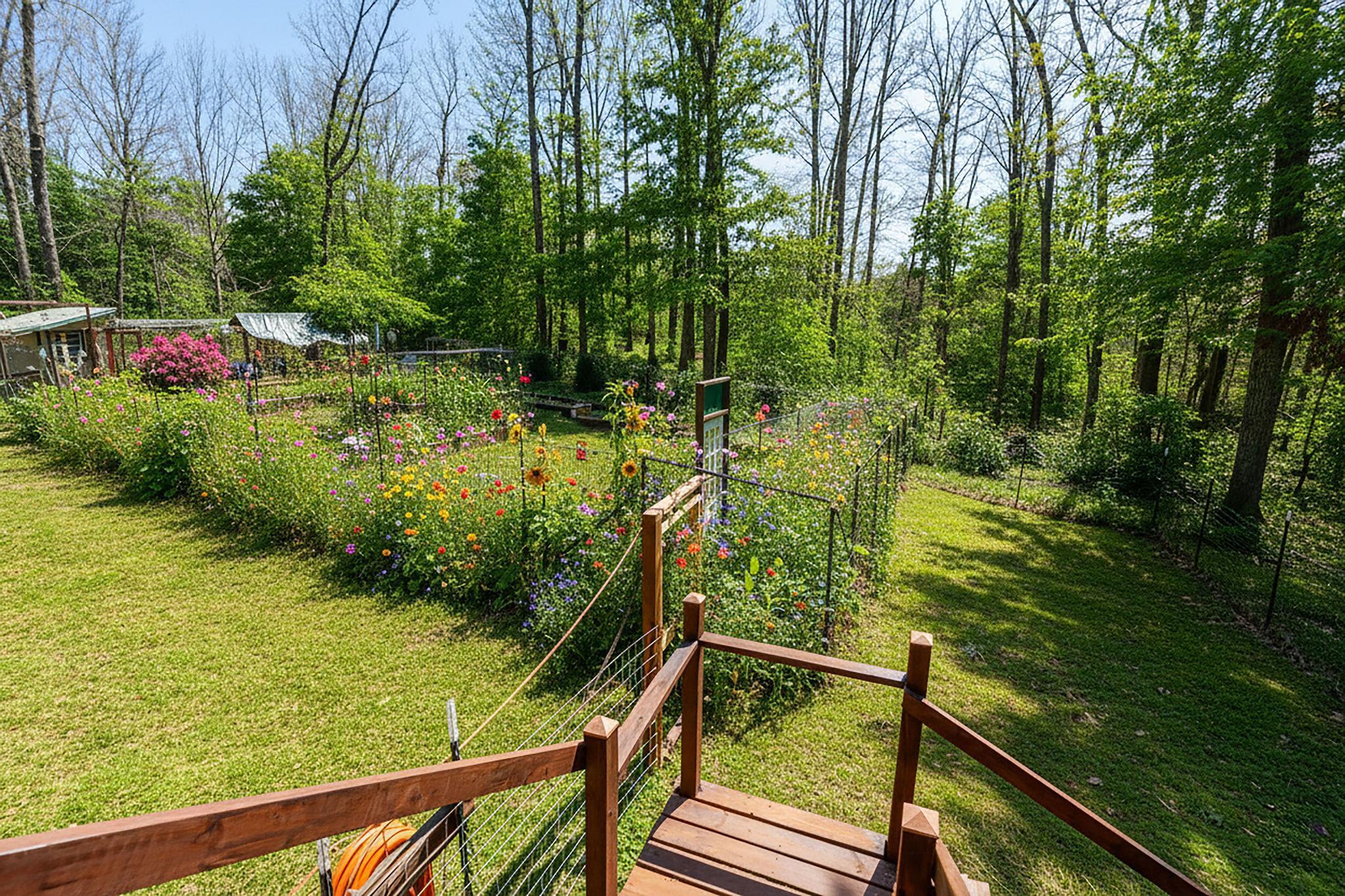 693 TRUSLOWS LN, NELLYSFORD, Virginia 22958, 3 Bedrooms Bedrooms, ,2 BathroomsBathrooms,Residential,693 TRUSLOWS LN,671815 MLS # 671815 693 TRUSLOWS LN, NELLYSFORD, Virginia 22958, 3 Bedrooms Bedrooms, ,2 BathroomsBathrooms,Residential,693 TRUSLOWS LN,671815 MLS # 671815