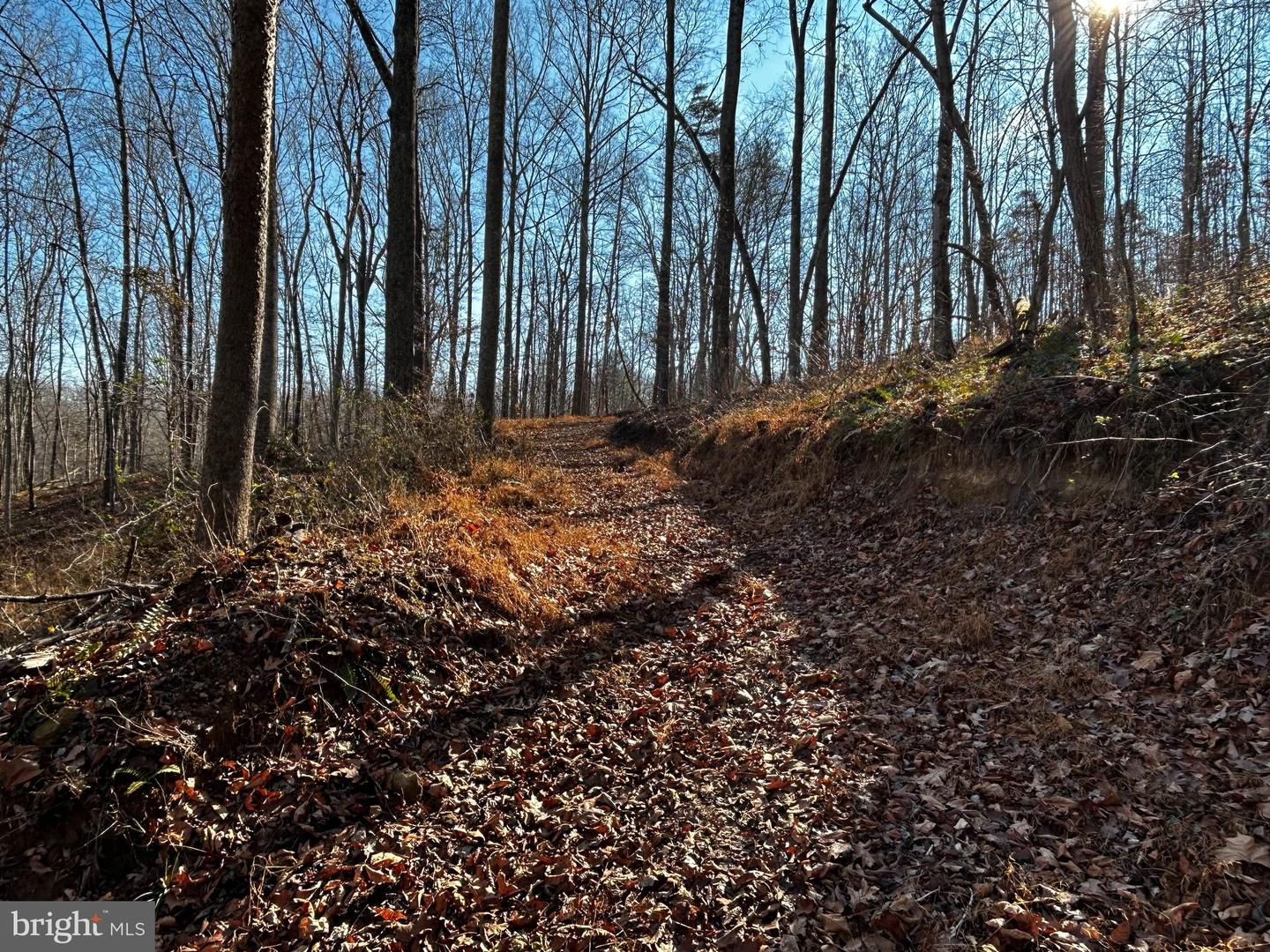 436 HINSONS FORD RD, AMISSVILLE, Virginia 20106, 8 Bedrooms Bedrooms, ,5 BathroomsBathrooms,Farm,For sale,436 HINSONS FORD RD,VARP2002434 MLS # VARP2002434 436 HINSONS FORD RD, AMISSVILLE, Virginia 20106, 8 Bedrooms Bedrooms, ,5 BathroomsBathrooms,Farm,For sale,436 HINSONS FORD RD,VARP2002434 MLS # VARP2002434