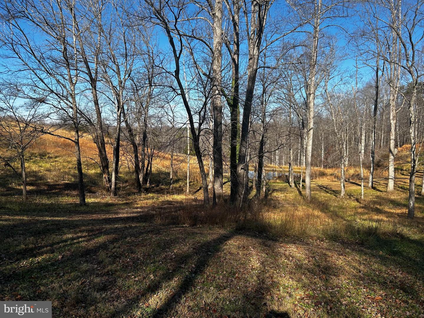 436 HINSONS FORD RD, AMISSVILLE, Virginia 20106, 8 Bedrooms Bedrooms, ,5 BathroomsBathrooms,Farm,For sale,436 HINSONS FORD RD,VARP2002434 MLS # VARP2002434 436 HINSONS FORD RD, AMISSVILLE, Virginia 20106, 8 Bedrooms Bedrooms, ,5 BathroomsBathrooms,Farm,For sale,436 HINSONS FORD RD,VARP2002434 MLS # VARP2002434