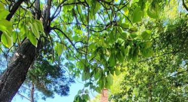 5220 CLAY ST NE, WASHINGTON, District Of Columbia 20019, 2 Bedrooms Bedrooms, ,1 BathroomBathrooms,Residential,For sale,5220 CLAY ST NE,DCDC2212124 MLS # DCDC2212124