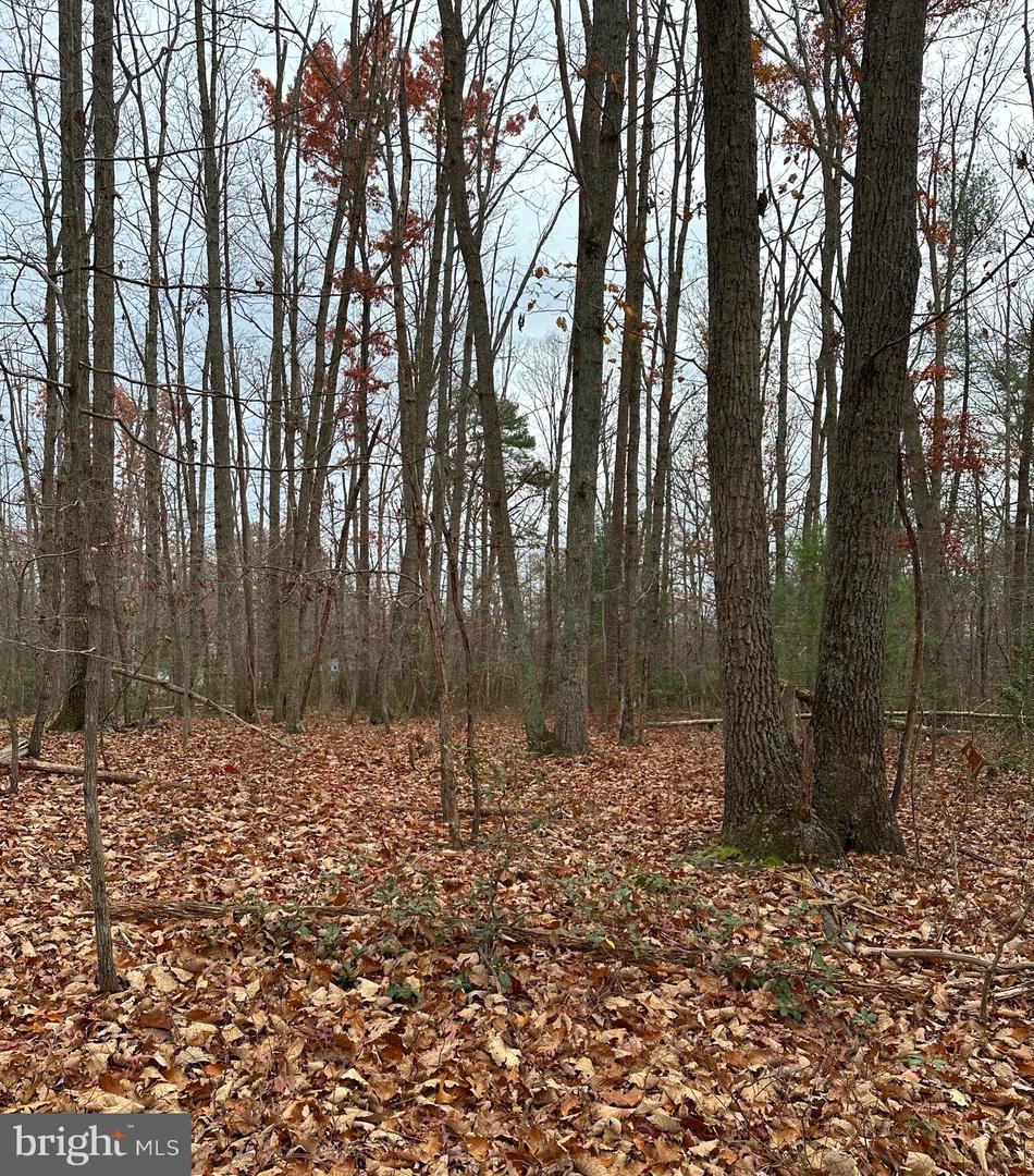 WOODLAND CHURCH ROAD, CULPEPER, Virginia 22701, ,Land,For sale,WOODLAND CHURCH ROAD,VACU2012170 MLS # VACU2012170 WOODLAND CHURCH ROAD, CULPEPER, Virginia 22701, ,Land,For sale,WOODLAND CHURCH ROAD,VACU2012170 MLS # VACU2012170