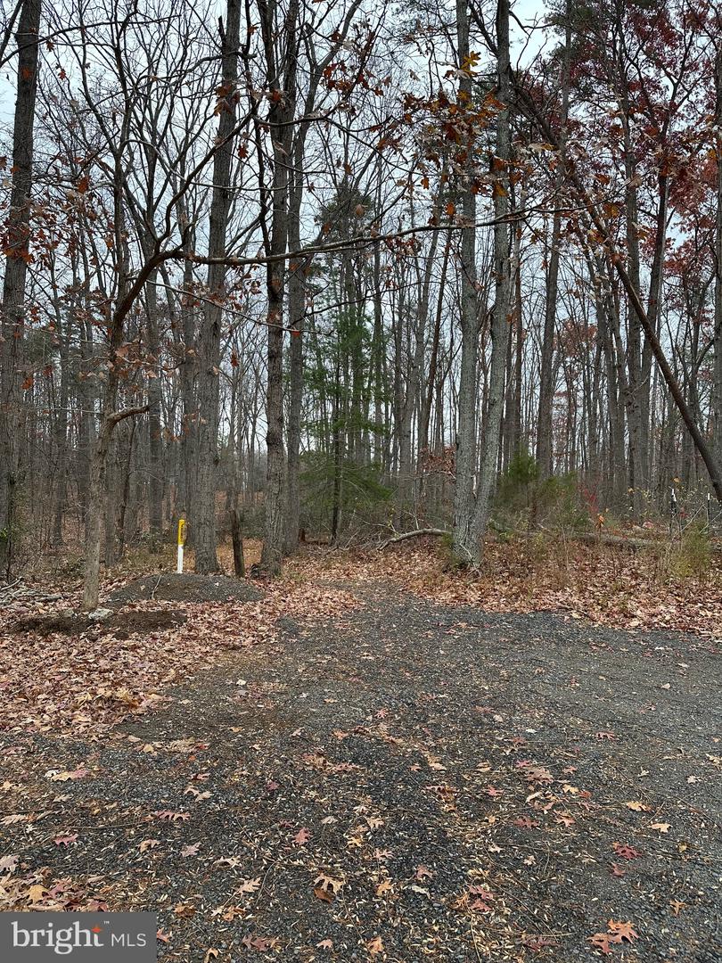 WOODLAND CHURCH ROAD, CULPEPER, Virginia 22701, ,Land,For sale,WOODLAND CHURCH ROAD,VACU2012170 MLS # VACU2012170 WOODLAND CHURCH ROAD, CULPEPER, Virginia 22701, ,Land,For sale,WOODLAND CHURCH ROAD,VACU2012170 MLS # VACU2012170