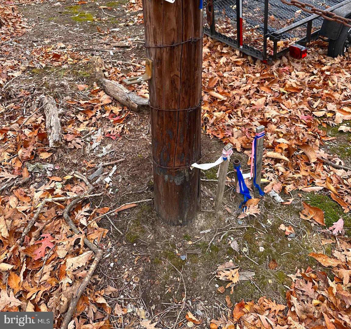 WOODLAND CHURCH ROAD, CULPEPER, Virginia 22701, ,Land,For sale,WOODLAND CHURCH ROAD,VACU2012170 MLS # VACU2012170 WOODLAND CHURCH ROAD, CULPEPER, Virginia 22701, ,Land,For sale,WOODLAND CHURCH ROAD,VACU2012170 MLS # VACU2012170