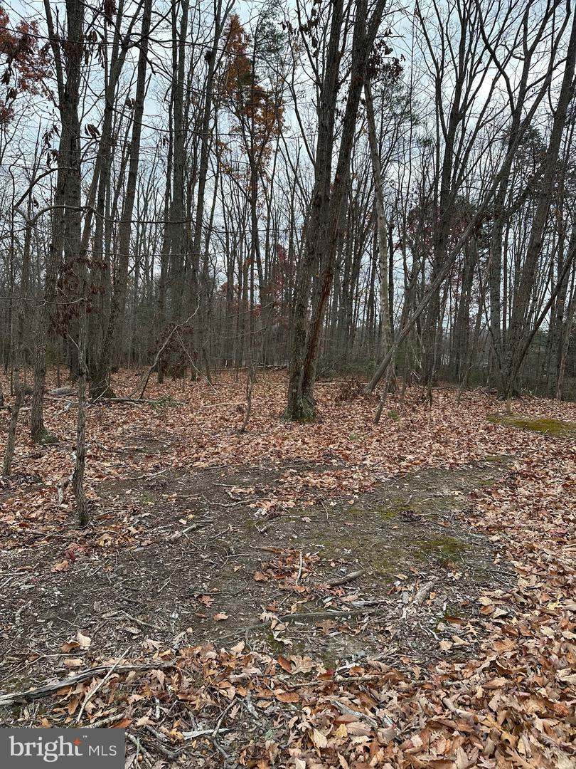 WOODLAND CHURCH ROAD, CULPEPER, Virginia 22701, ,Land,For sale,WOODLAND CHURCH ROAD,VACU2012170 MLS # VACU2012170 WOODLAND CHURCH ROAD, CULPEPER, Virginia 22701, ,Land,For sale,WOODLAND CHURCH ROAD,VACU2012170 MLS # VACU2012170