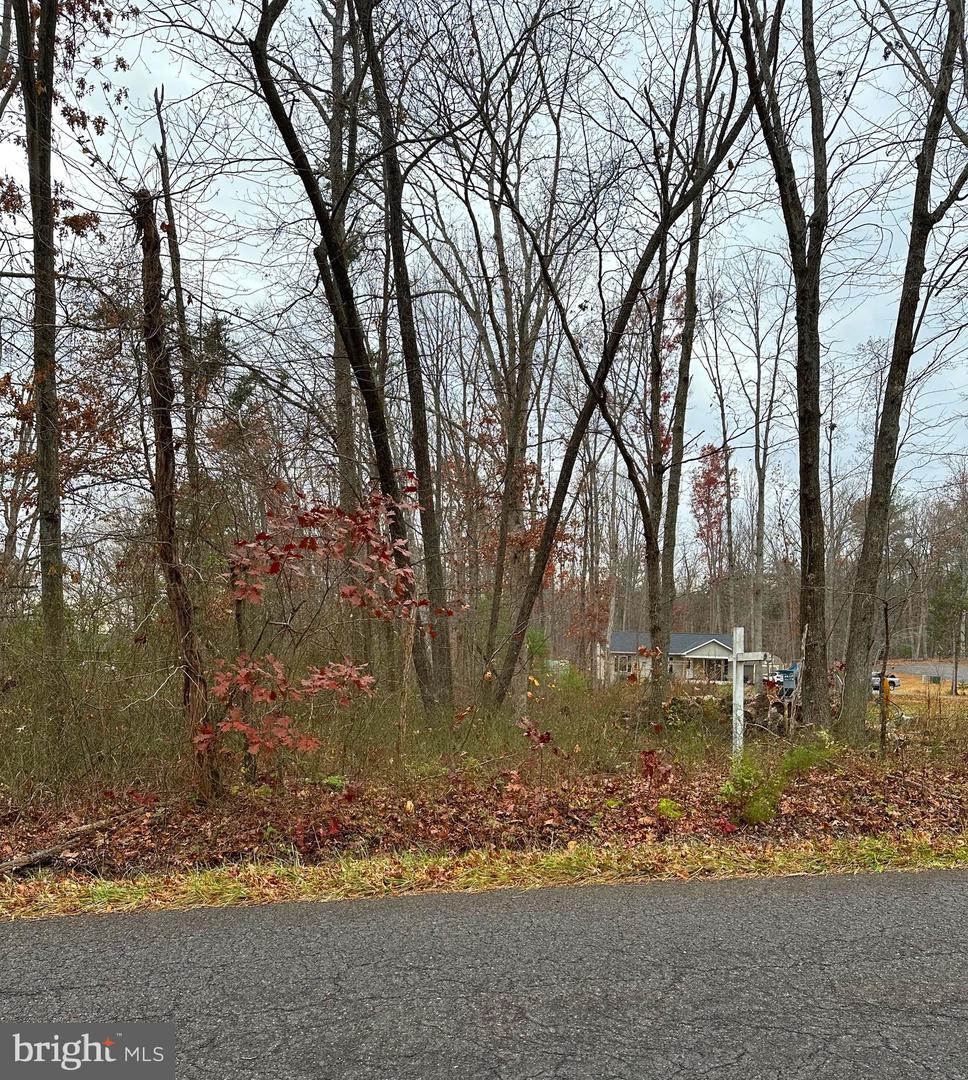 WOODLAND CHURCH ROAD, CULPEPER, Virginia 22701, ,Land,For sale,WOODLAND CHURCH ROAD,VACU2012170 MLS # VACU2012170 WOODLAND CHURCH ROAD, CULPEPER, Virginia 22701, ,Land,For sale,WOODLAND CHURCH ROAD,VACU2012170 MLS # VACU2012170