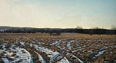 LIMESTONE SCHOOL RD, LEESBURG, Virginia 20176, ,Land,For sale,LIMESTONE SCHOOL RD,VALO2112338 MLS # VALO2112338