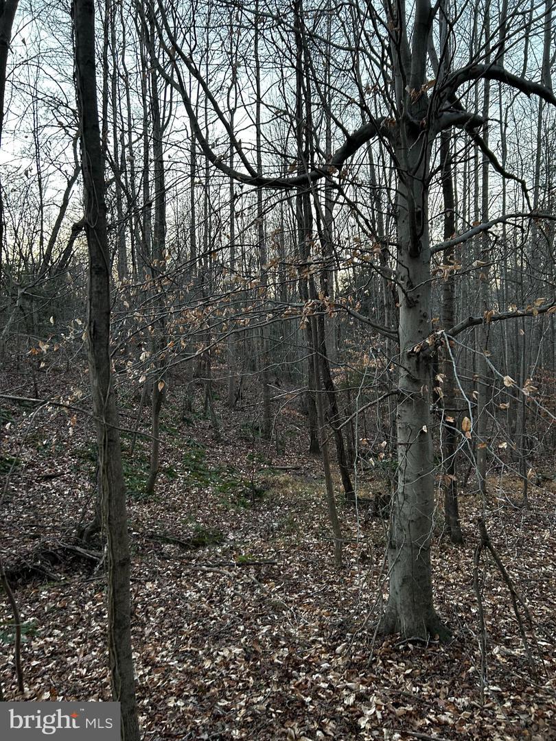 0 PRATTS PLACE, MONTROSS, Virginia 22520, ,Land,For sale,0 PRATTS PLACE,VAWE2010256 MLS # VAWE2010256