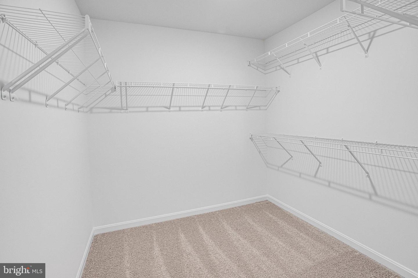 35603 PINE NEEDLE LN, LOCUST GROVE, Virginia 22508, 5 Bedrooms Bedrooms, ,3 BathroomsBathrooms,Residential,For sale,35603 PINE NEEDLE LN,VAOR2010700 MLS # VAOR2010700 35603 PINE NEEDLE LN, LOCUST GROVE, Virginia 22508, 5 Bedrooms Bedrooms, ,3 BathroomsBathrooms,Residential,For sale,35603 PINE NEEDLE LN,VAOR2010700 MLS # VAOR2010700