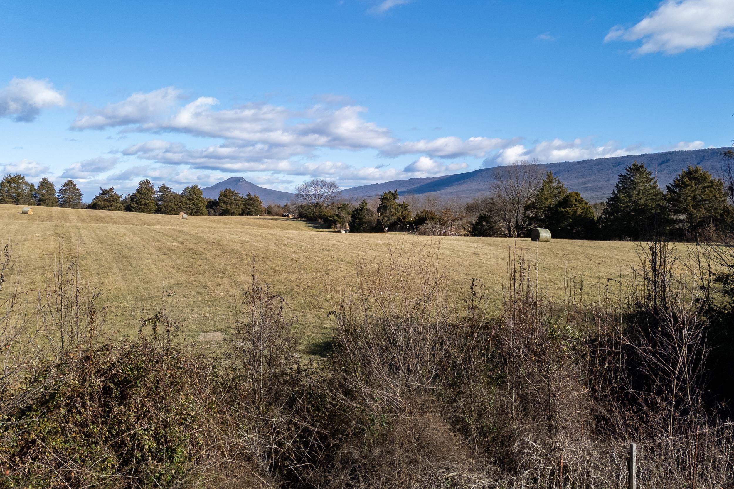 134 DILLON CT, NEW MARKET, Virginia 22844, 3 Bedrooms Bedrooms, ,2 BathroomsBathrooms,Residential,134 DILLON CT,671848 MLS # 671848 134 DILLON CT, NEW MARKET, Virginia 22844, 3 Bedrooms Bedrooms, ,2 BathroomsBathrooms,Residential,134 DILLON CT,671848 MLS # 671848